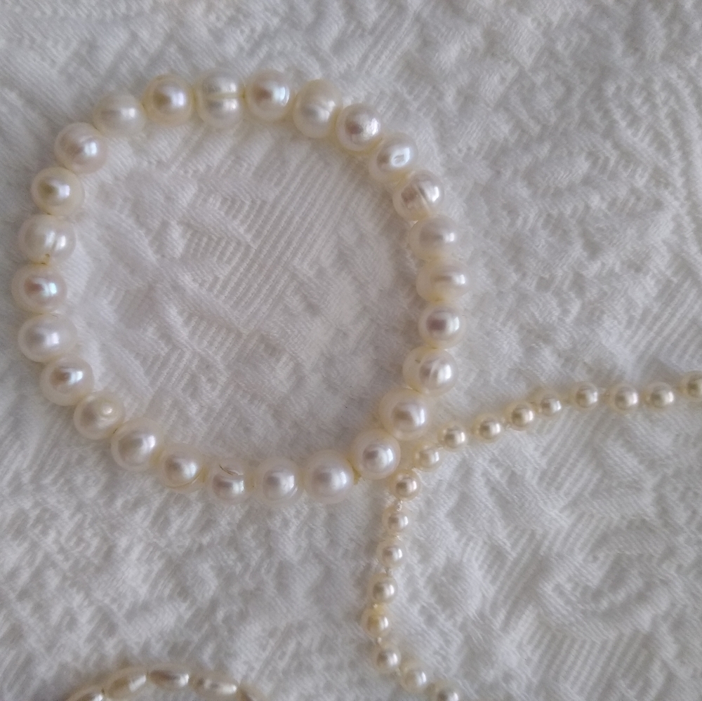 Bracelet Oysters shell Cultura